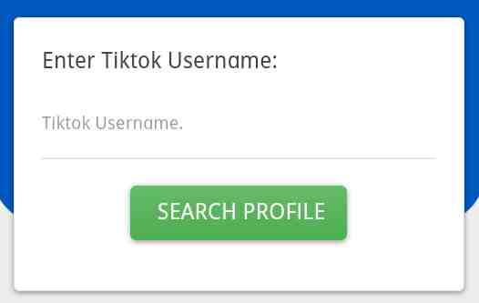 enter Username and click on search Profile